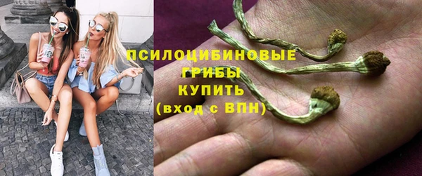 мяу мяу мука Балахна