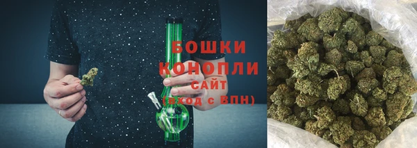 PSILOCYBIN Аша