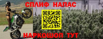 СК Вязьма