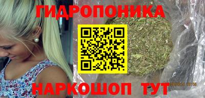 СК Вязьма