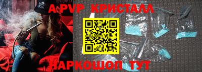 СК Вязьма