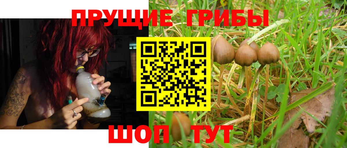 Верхняя Салда  Псилоцибиновые грибы MAGIC MUSHROOMS  Вход с VPN 